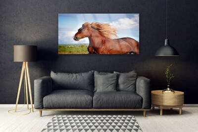 Acrylglasbilder Pferd Tiere