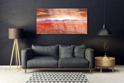 Acrylglasbilder Wüste Landschaft