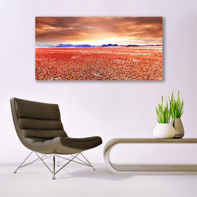 Acrylglasbilder Wüste Landschaft