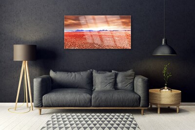 Acrylglasbilder Wüste Landschaft