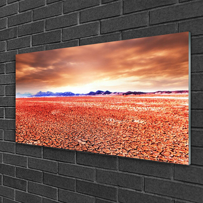 Acrylglasbilder Wüste Landschaft