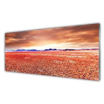Acrylglasbilder Wüste Landschaft