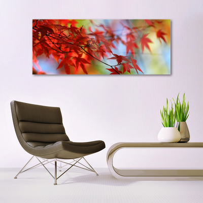 Acrylglasbilder Blätter Natur