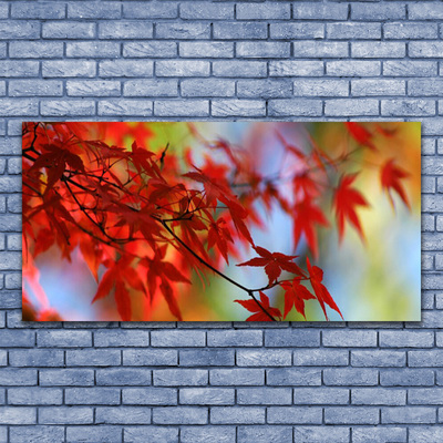 Acrylglasbilder Blätter Natur