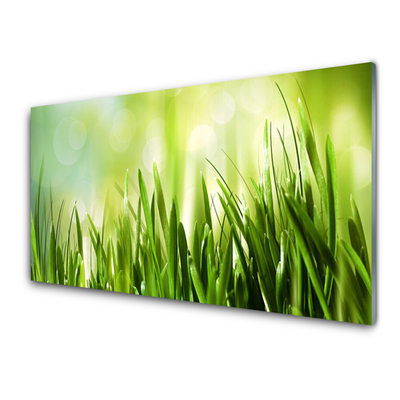 Acrylglasbilder Gras Natur