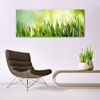 Acrylglasbilder Gras Natur