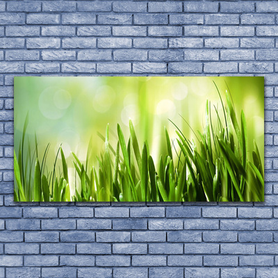 Acrylglasbilder Gras Natur