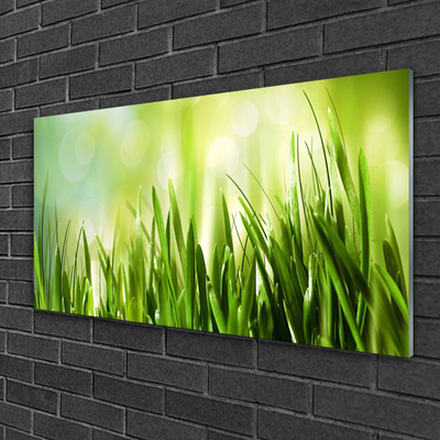 Acrylglasbilder Gras Natur