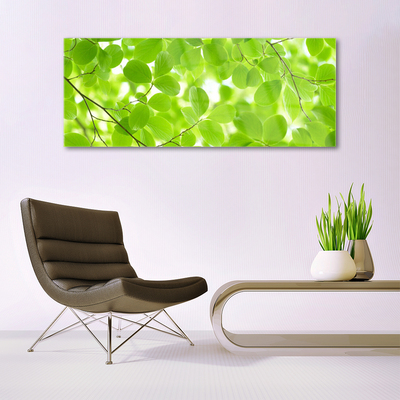 Acrylglasbilder Blätter Natur