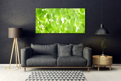 Acrylglasbilder Blätter Natur
