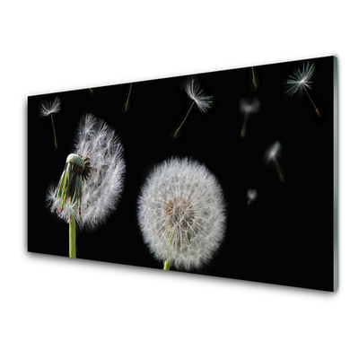 Acrylglasbilder Pusteblume Pflanzen