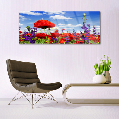 Acrylglasbilder Blumen Natur