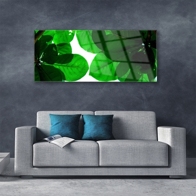 Acrylglasbilder Blätter Pflanzen
