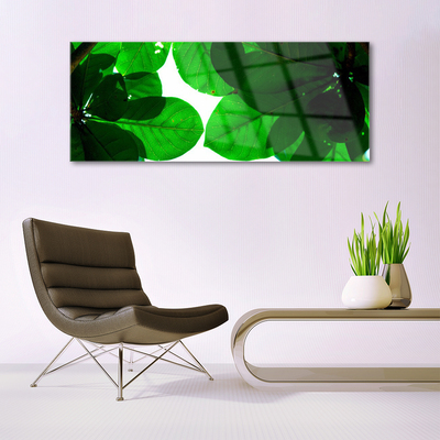 Acrylglasbilder Blätter Pflanzen