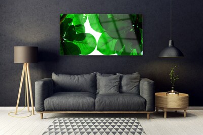 Acrylglasbilder Blätter Pflanzen