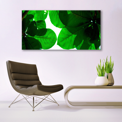 Acrylglasbilder Blätter Pflanzen