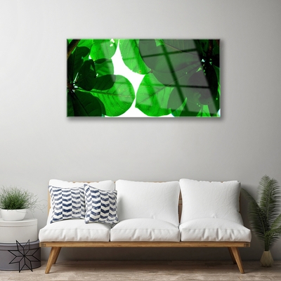 Acrylglasbilder Blätter Pflanzen