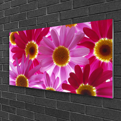 Acrylglasbilder Blumen Pflanzen