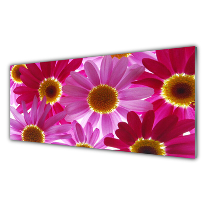 Acrylglasbilder Blumen Pflanzen