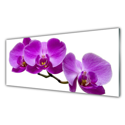 Acrylglasbilder Blumen Pflanzen