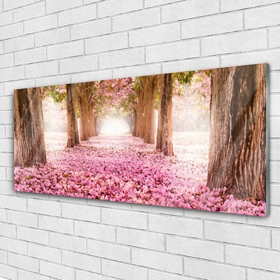 Acrylglasbilder Fußpfad Baumstämme Natur