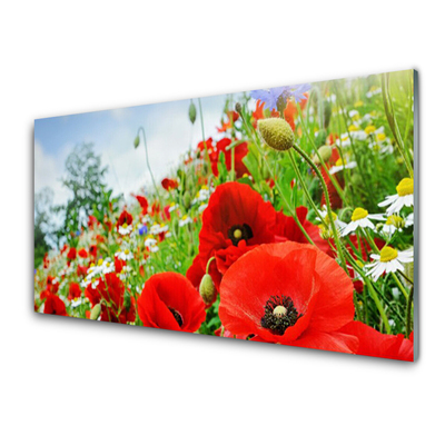 Acrylglasbilder Blumen Natur