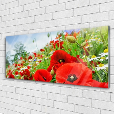 Acrylglasbilder Blumen Natur