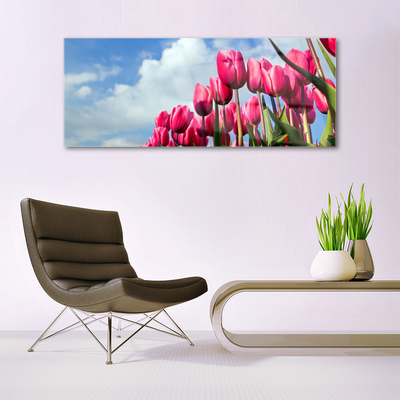 Acrylglasbilder Tulpe Pflanzen
