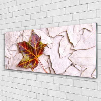 Acrylglasbilder Blätter Pflanzen