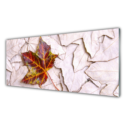 Acrylglasbilder Blätter Pflanzen