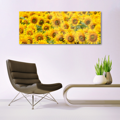 Acrylglasbilder Sonnenblumen Pflanzen