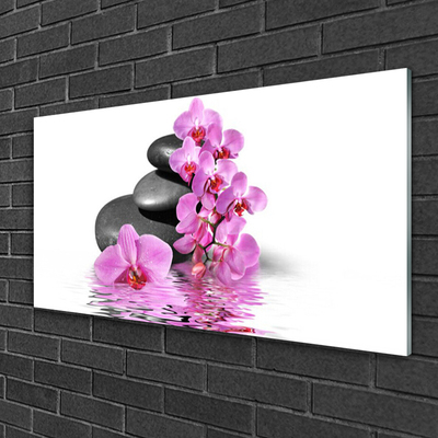 Acrylglasbilder Blumen Steine Pflanzen