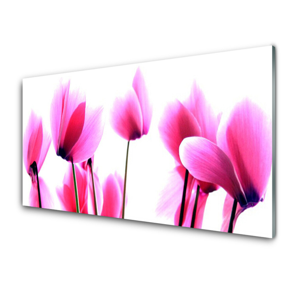 Acrylglasbilder Blumen Pflanzen