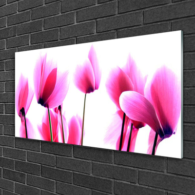 Acrylglasbilder Blumen Pflanzen