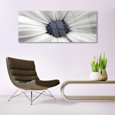 Acrylglasbilder Blume Pflanzen