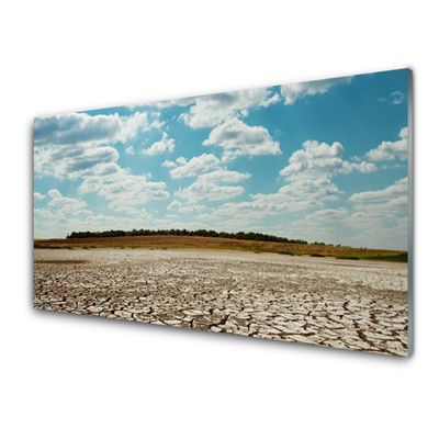 Acrylglasbilder Wüste Landschaft