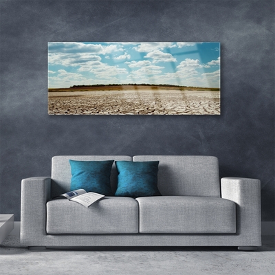 Acrylglasbilder Wüste Landschaft