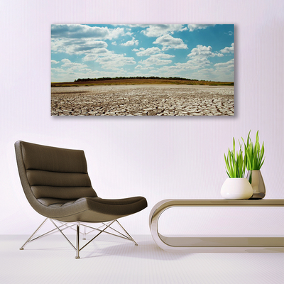 Acrylglasbilder Wüste Landschaft