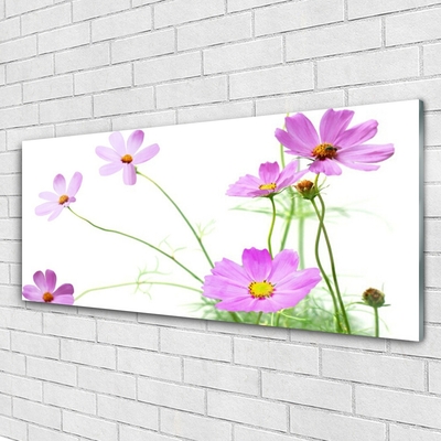 Acrylglasbilder Blumen Pflanzen