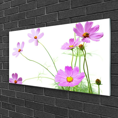 Acrylglasbilder Blumen Pflanzen