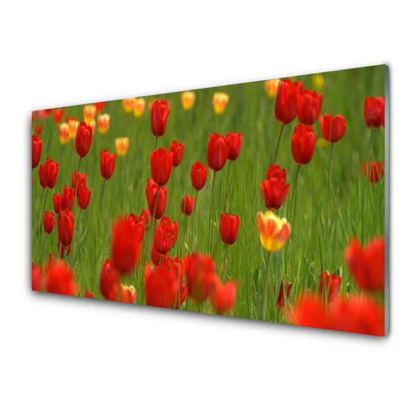 Acrylglasbilder Tulpen Natur