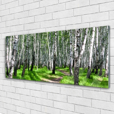 Acrylglasbilder Bäume Gras Natur