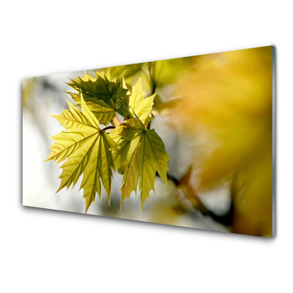 Acrylglasbilder Blätter Pflanzen