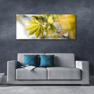 Acrylglasbilder Blätter Pflanzen