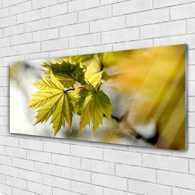 Acrylglasbilder Blätter Pflanzen