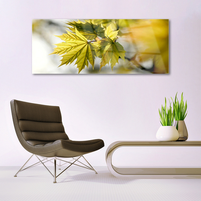 Acrylglasbilder Blätter Pflanzen