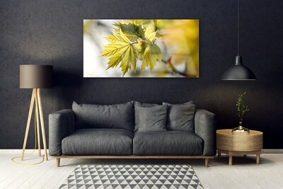 Acrylglasbilder Blätter Pflanzen