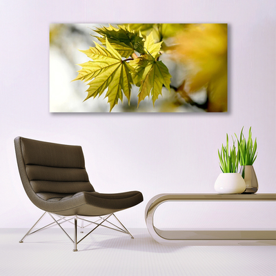 Acrylglasbilder Blätter Pflanzen