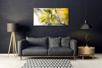 Acrylglasbilder Blätter Pflanzen