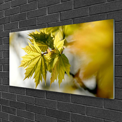 Acrylglasbilder Blätter Pflanzen